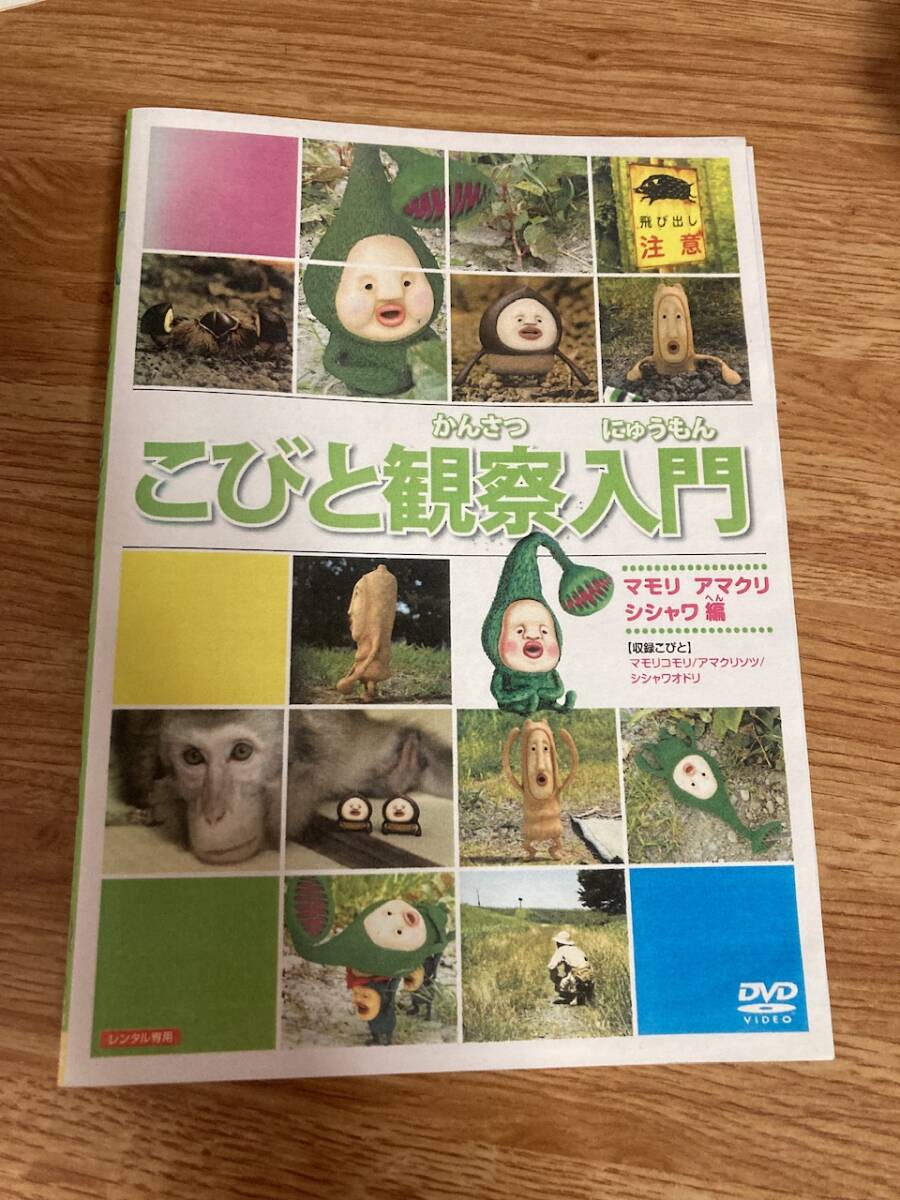 こびと観察入門 DVD 6巻セット ハナガシラ マモリ モモジリ こびと観察入門 DVD 6巻セット ハナガシラ マモリ モモジリ