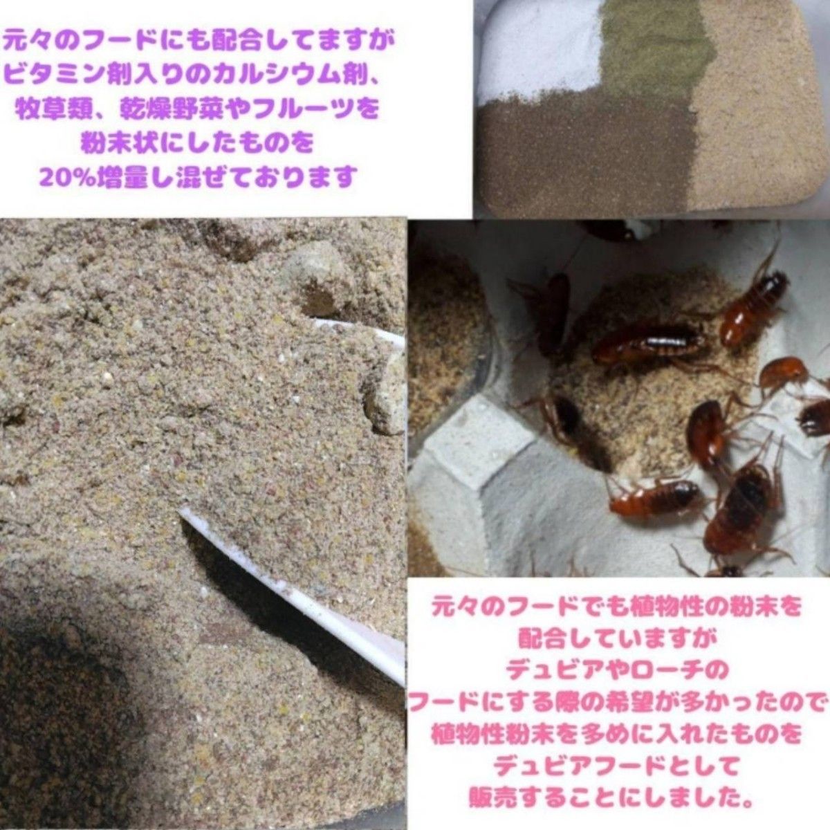 特製デュビアレッドローチフード【500g】食物性粉末20%増量