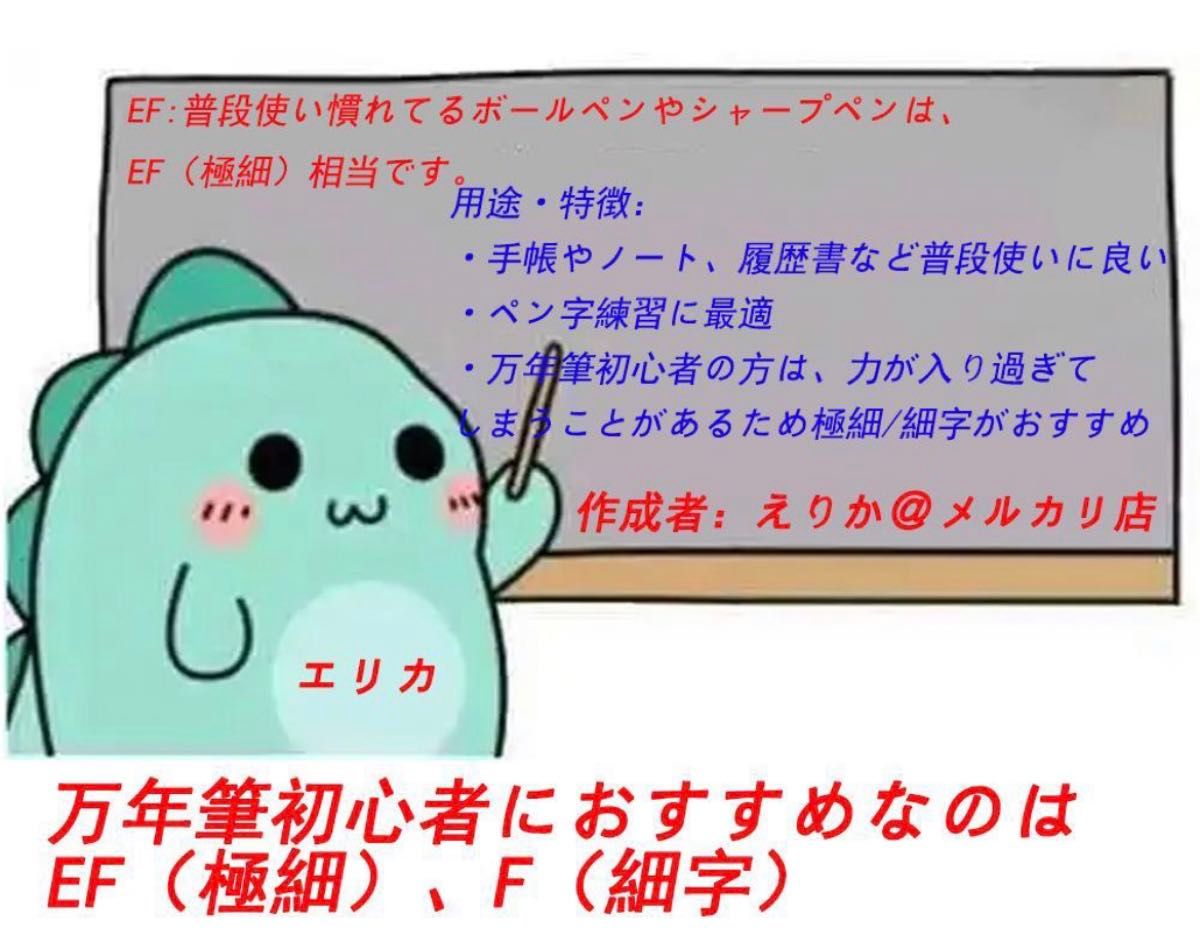 在庫1点のみ!千山の翠 万年筆 F細字コンバーター付き 早い者勝ち! 万年筆 中字