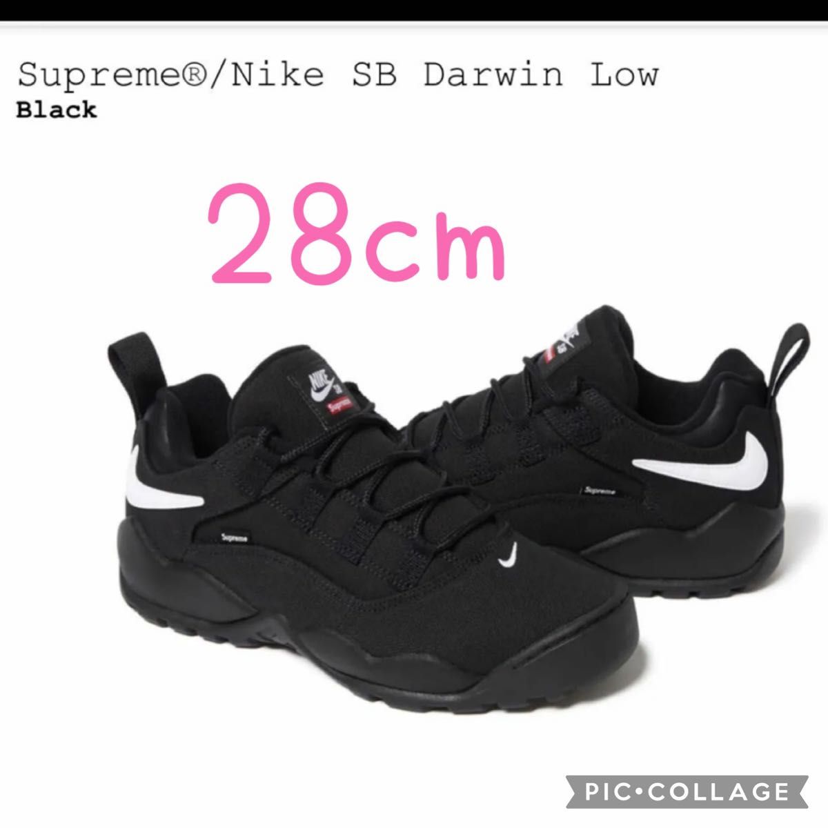 Supreme Nike SB Darwin Low Black US10 28cm