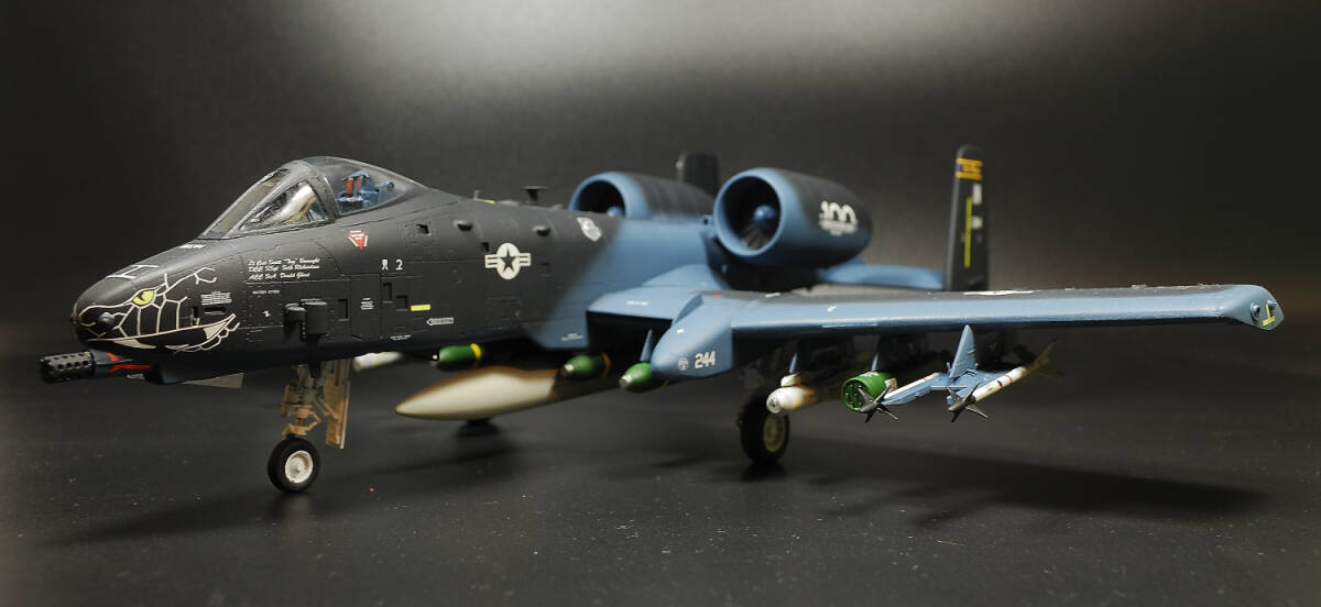 1/48 プラッツイタレリ　A-10C　インディアナ州空軍１００周年記念塗装　ブラックスネーク　完成品_画像1