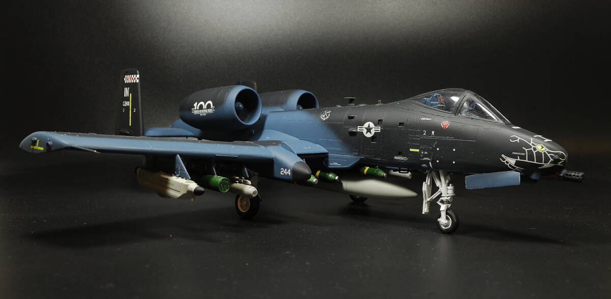 1/48 プラッツイタレリ　A-10C　インディアナ州空軍１００周年記念塗装　ブラックスネーク　完成品_画像4