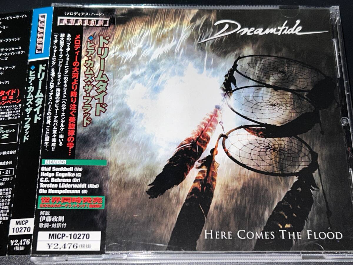 Dreamtaide / Here Comes The Flood '01年国内帯付の画像1