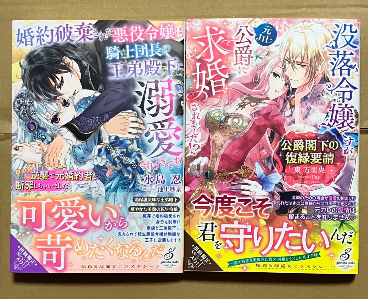 婚約破棄された悪役令嬢は、騎士団長の王弟殿下に溺愛されすぎです/公爵閣下の復縁要請/特典SS応募券等なし