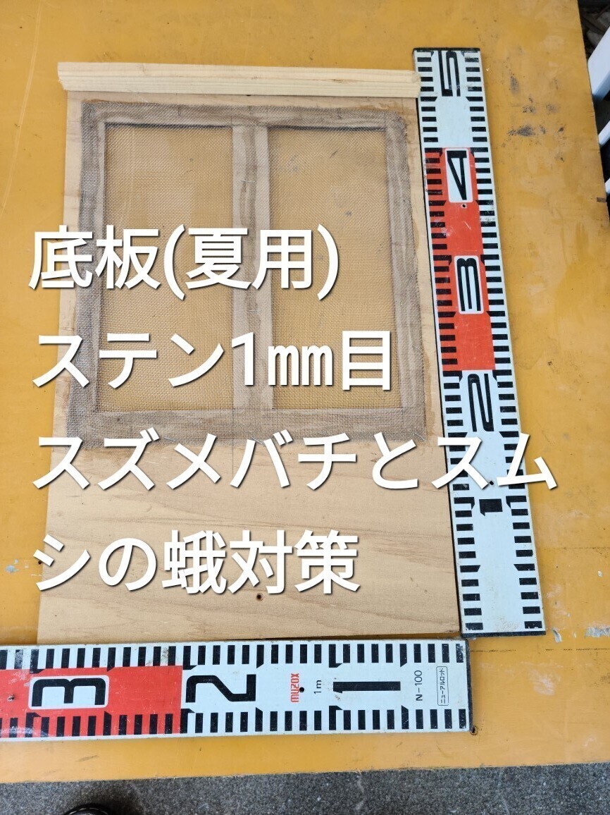 日本ミツバチの分蜂群「5日間配送可」底板(夏用)継ぎ箱１個付け無料配送令和５年は東北地方まで20数群出荷実績あり(落札後3時間内入金の方)の画像4