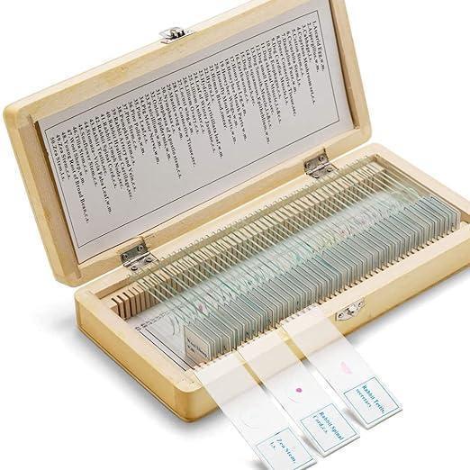 スライドグラス専用ボックス スライドグラス標本箱 50枚用 標本ケース 顕微鏡