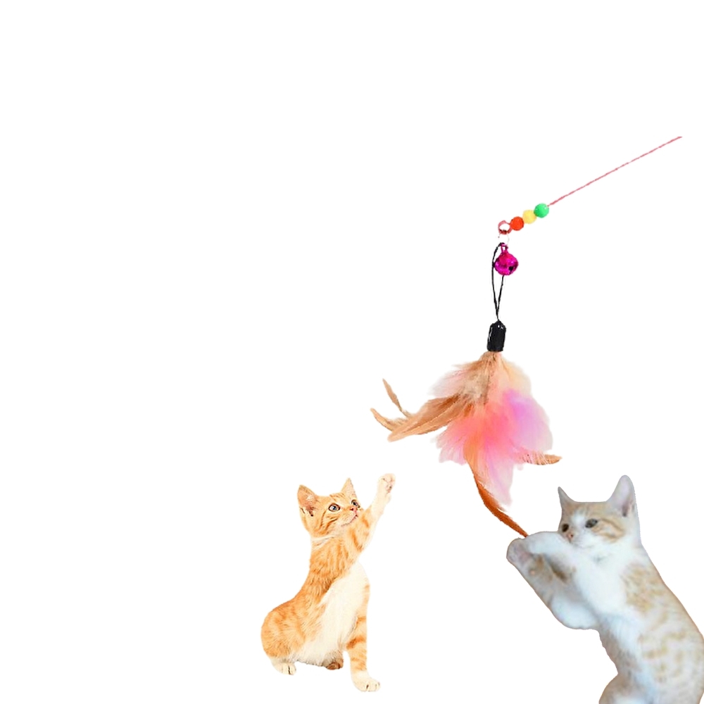  cat toy cat ...... -stroke less cancellation toy motion shortage cancellation 