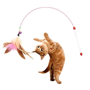  cat toy cat ...... -stroke less cancellation toy motion shortage cancellation 