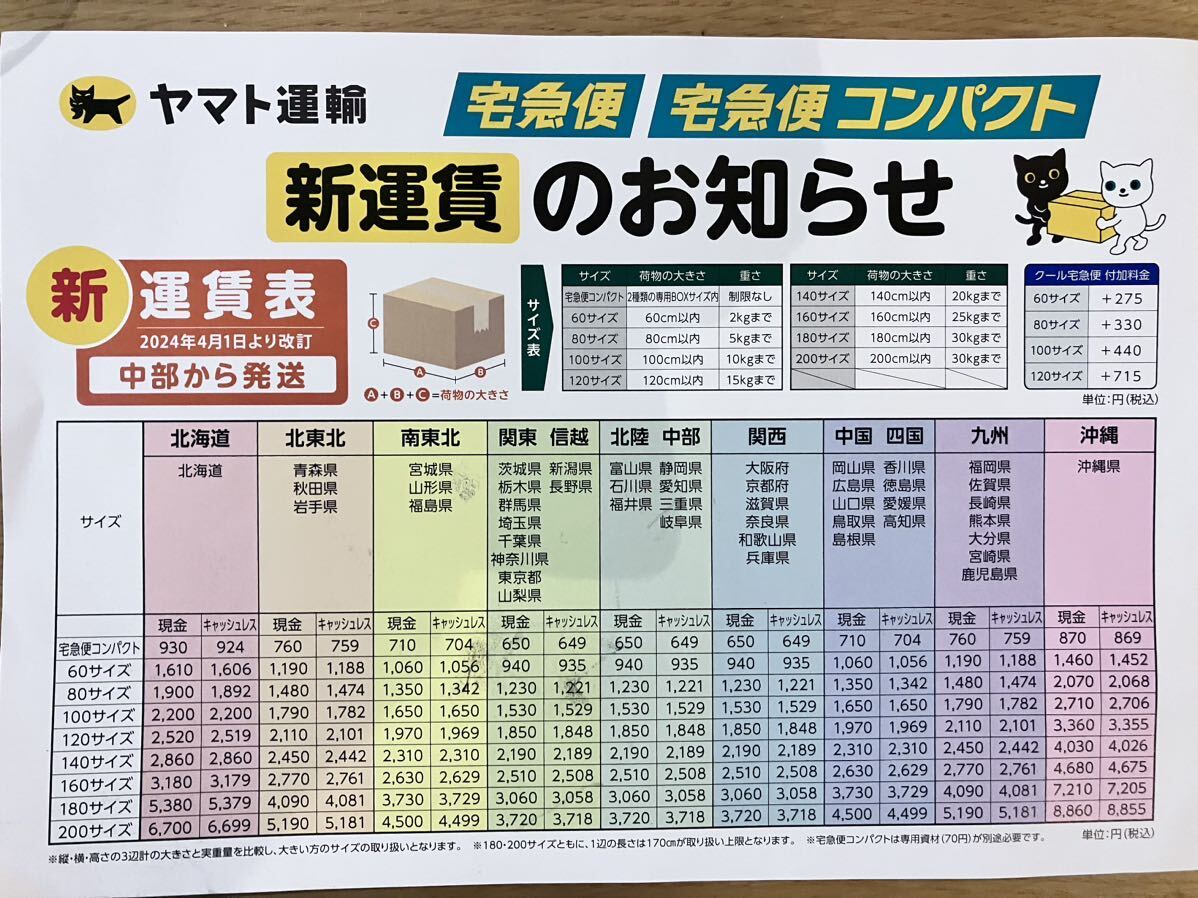 冷凍アカニシ貝40個　石鯛　イシガキダイ　黒鯛　釣り餌_画像3