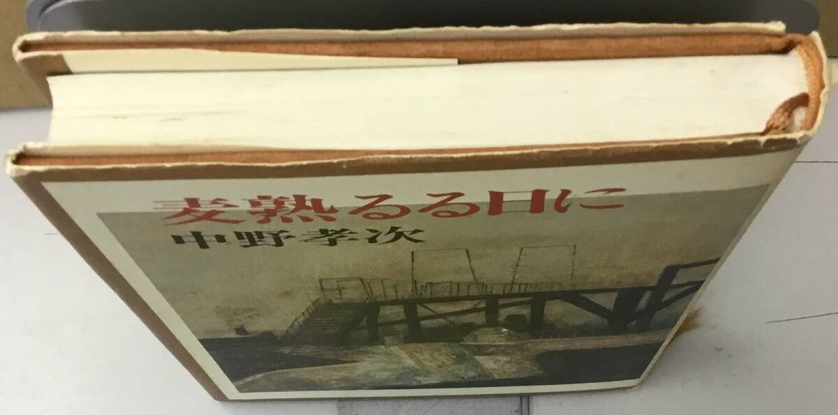 K0502-24　麦熟るる日に　中野孝次　河出書房新社　発行日：昭和62.3.20　9版_画像5