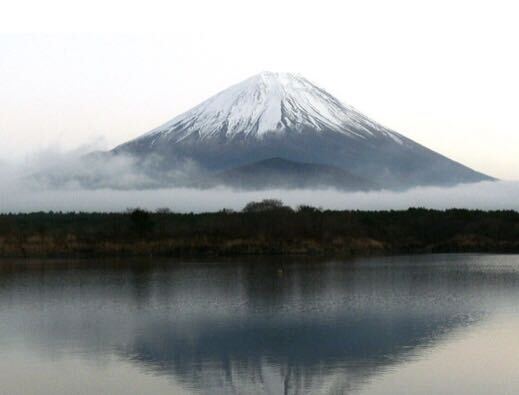 2024年　東急ハーヴェストクラブ 山中湖　相互施設利用券_画像5