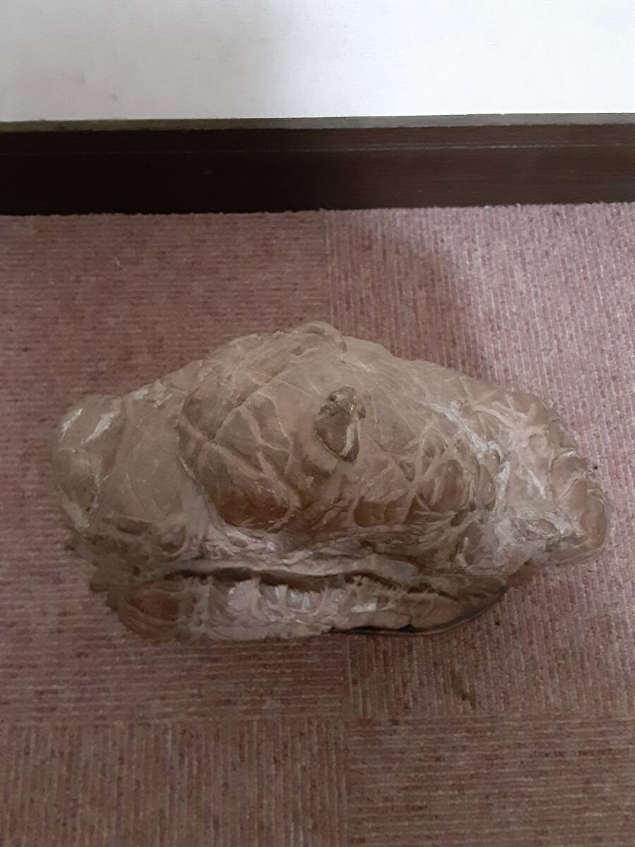 鑑賞石　重量 約 8kg　※詳細不明。_画像5