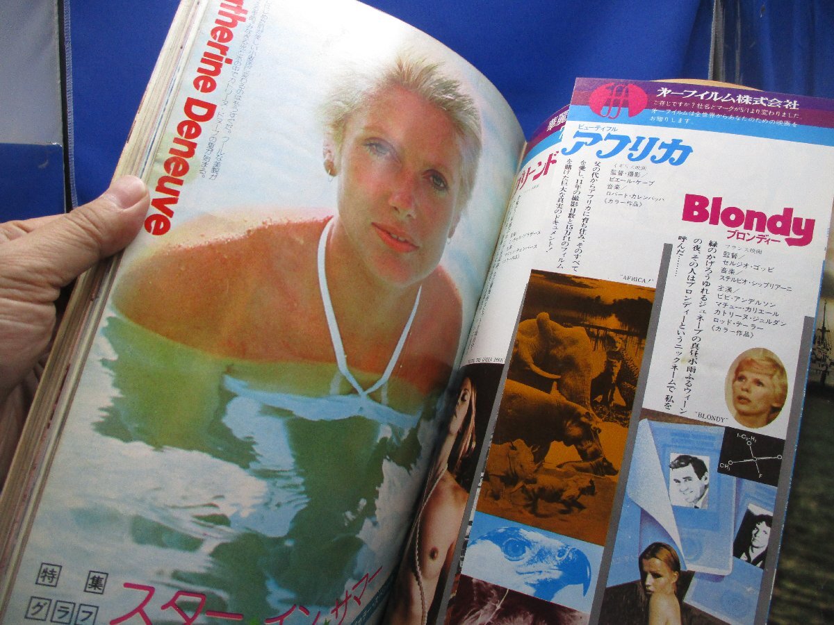 スクリーン　1976年8月号　ジャクリーン・ビセット、スティーブ・マックイーン、アラン・ドロン、ナタリー・ドロン、シルビア・80818_画像3