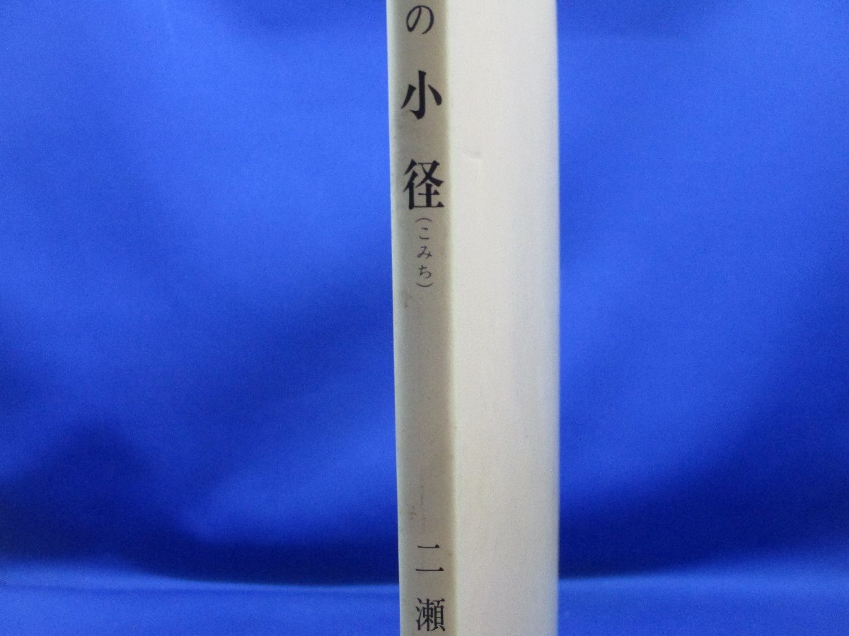 書道　書の小径（こみち）　二瀬西恵　木耳社刊　昭和61年初版　/103029_画像2