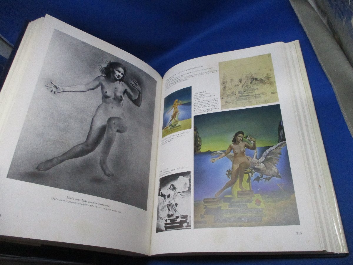 美術洋書 仏文 Robert Descharnes 「Dali L'oeuvre et L'homme」ダリ 人と作品 ダリの個人秘書/写真家の 作品＋写真多数/37x27cm/112202_画像3