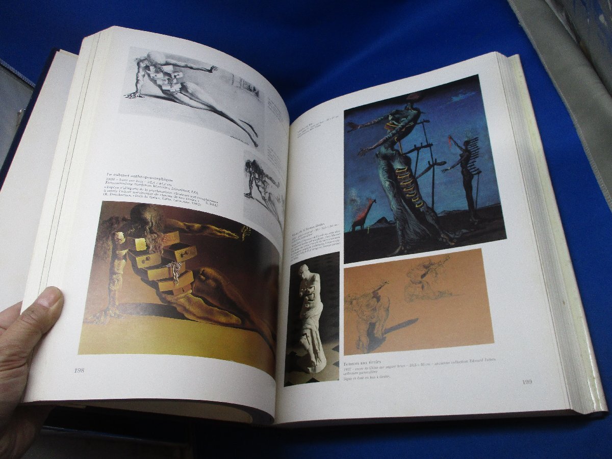 美術洋書 仏文 Robert Descharnes 「Dali L'oeuvre et L'homme」ダリ 人と作品 ダリの個人秘書/写真家の 作品＋写真多数/37x27cm/112202_画像10