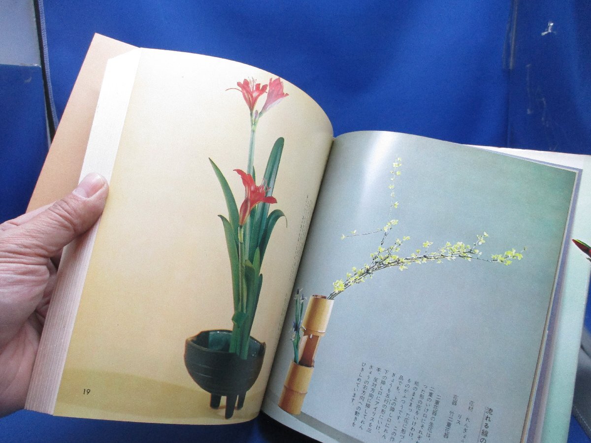 松月堂古流のいけ花―盛花 投入花 生花のすべて (1966年・植松 雅房・講談社いけ花シリーズ)　110621_画像7