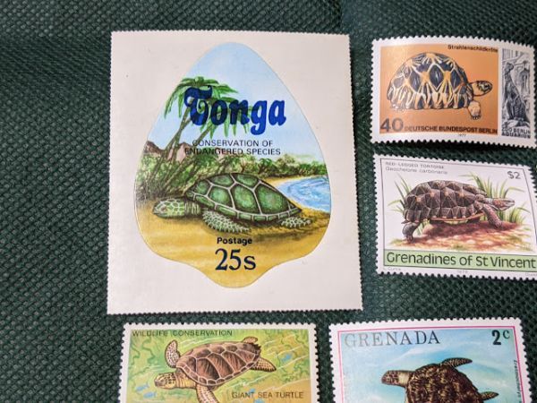 ■同梱可　カメ　消印無し　未使用切手　海外古動物切手　１１枚　　_画像5