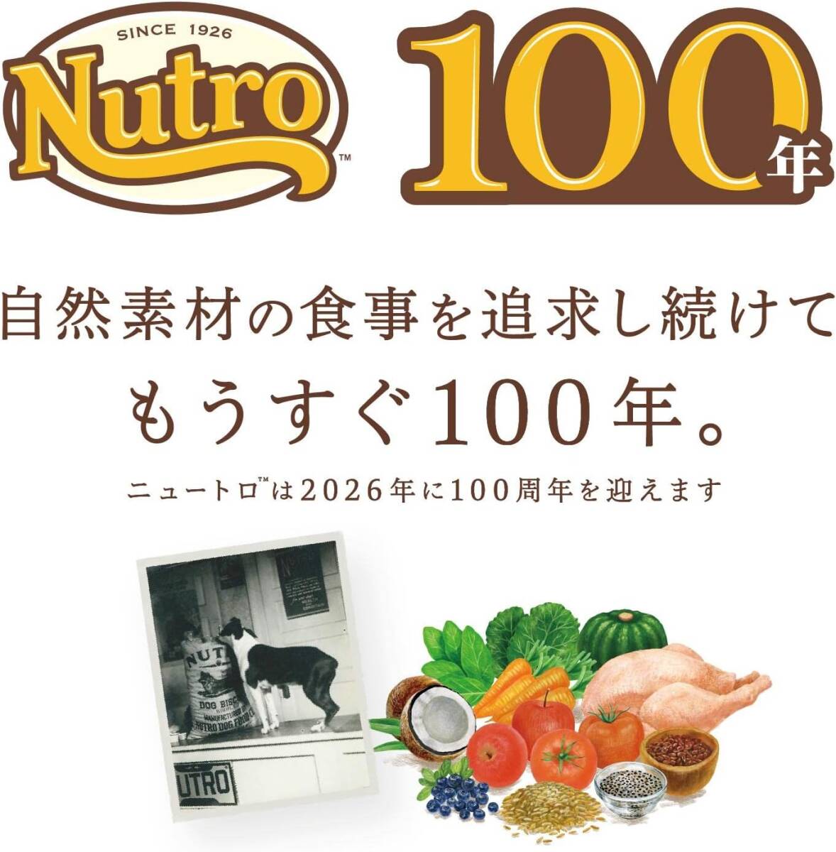 nutro ニュートロ ナチュラル チョイス 中型犬~大型犬用 成犬用 チキン&玄米 3kg ドッグフード_画像9