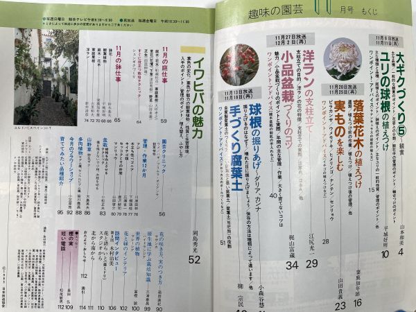 NHK趣味の園芸 1983年11月号　大ギク・ユリ・洋ラン・小品盆栽【H78452】_画像2