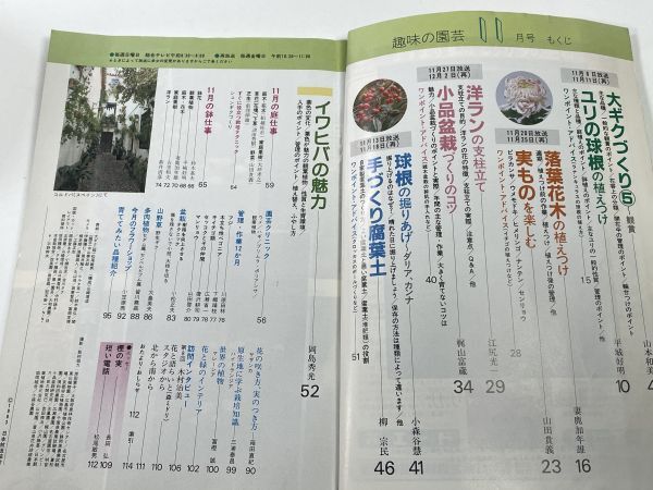 NHK趣味の園芸 1983年11月号　大ギク・ユリ・洋ラン・小品盆栽【H78452】_画像3
