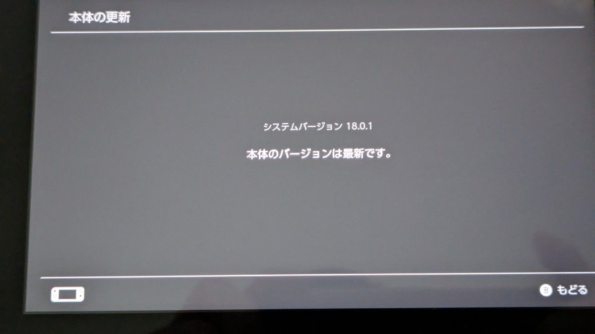 Nintendo Switch本体 セット USB充電器（PD対応45W）付