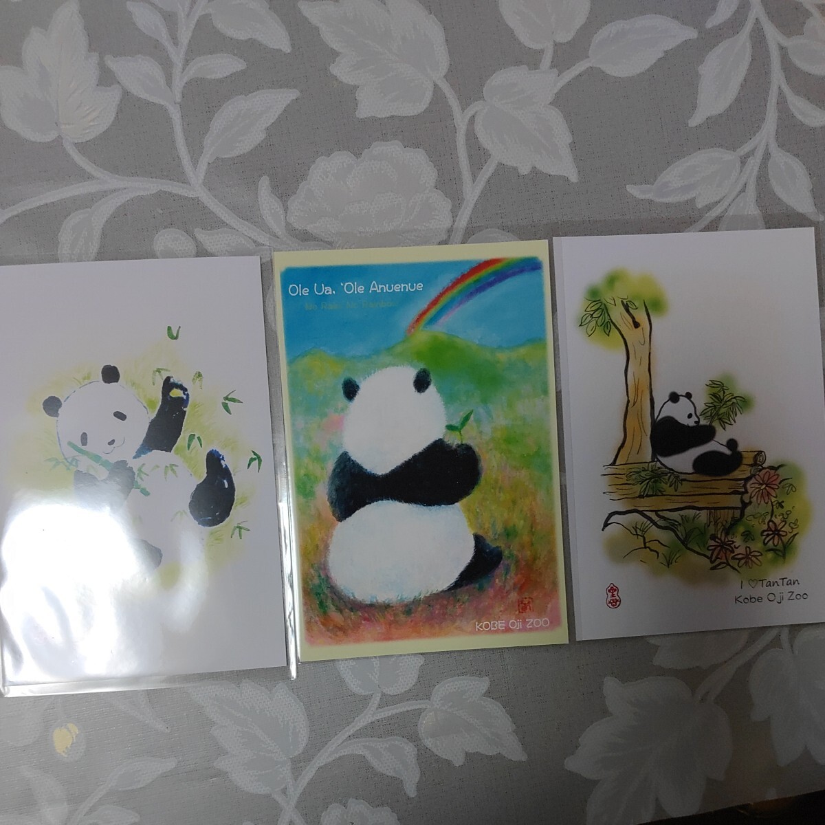 タンタン　ポストカード　5種　王子動物園　パンダ　Panda　ジャイアントパンダ_画像3