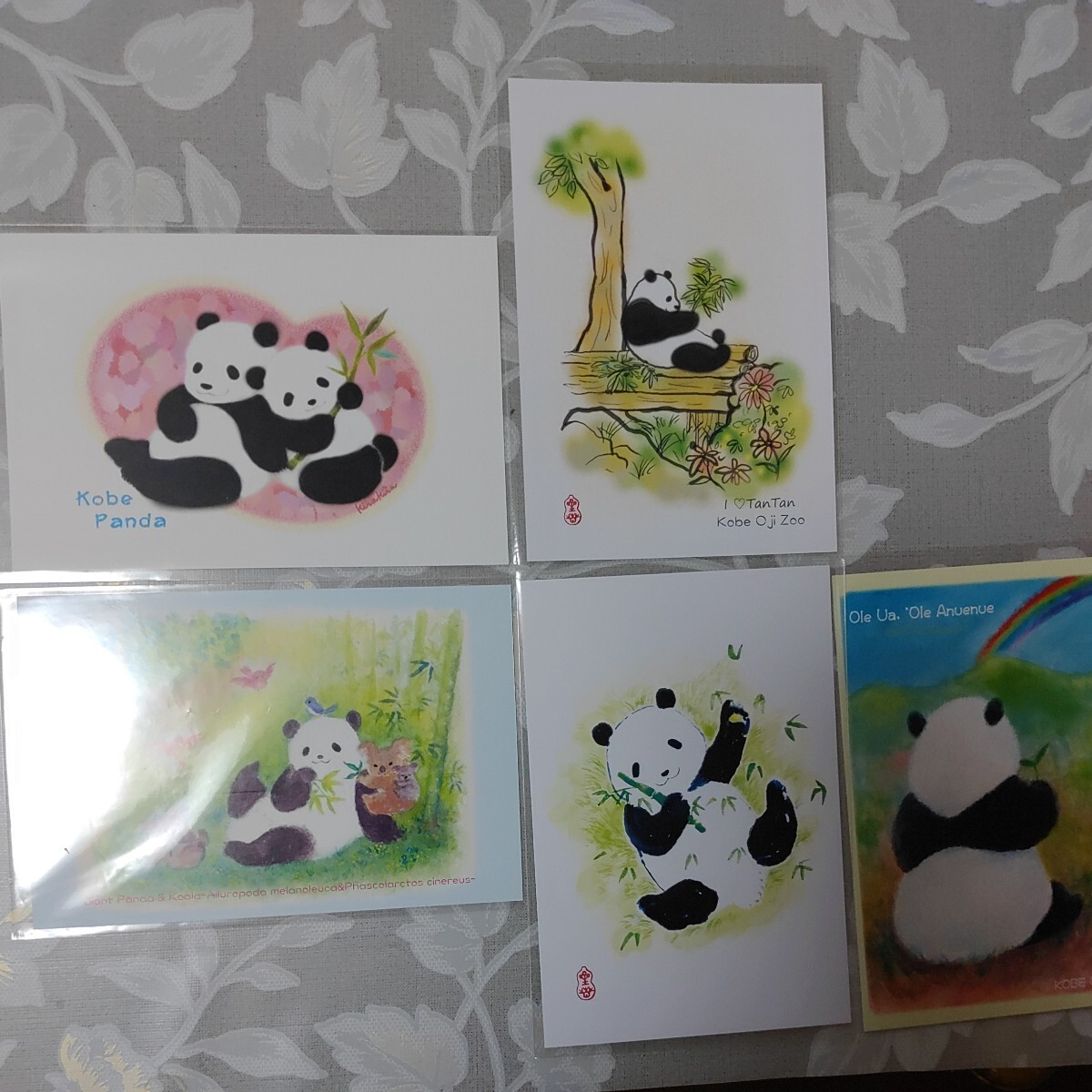 タンタン　ポストカード　5種　王子動物園　パンダ　Panda　ジャイアントパンダ_画像1