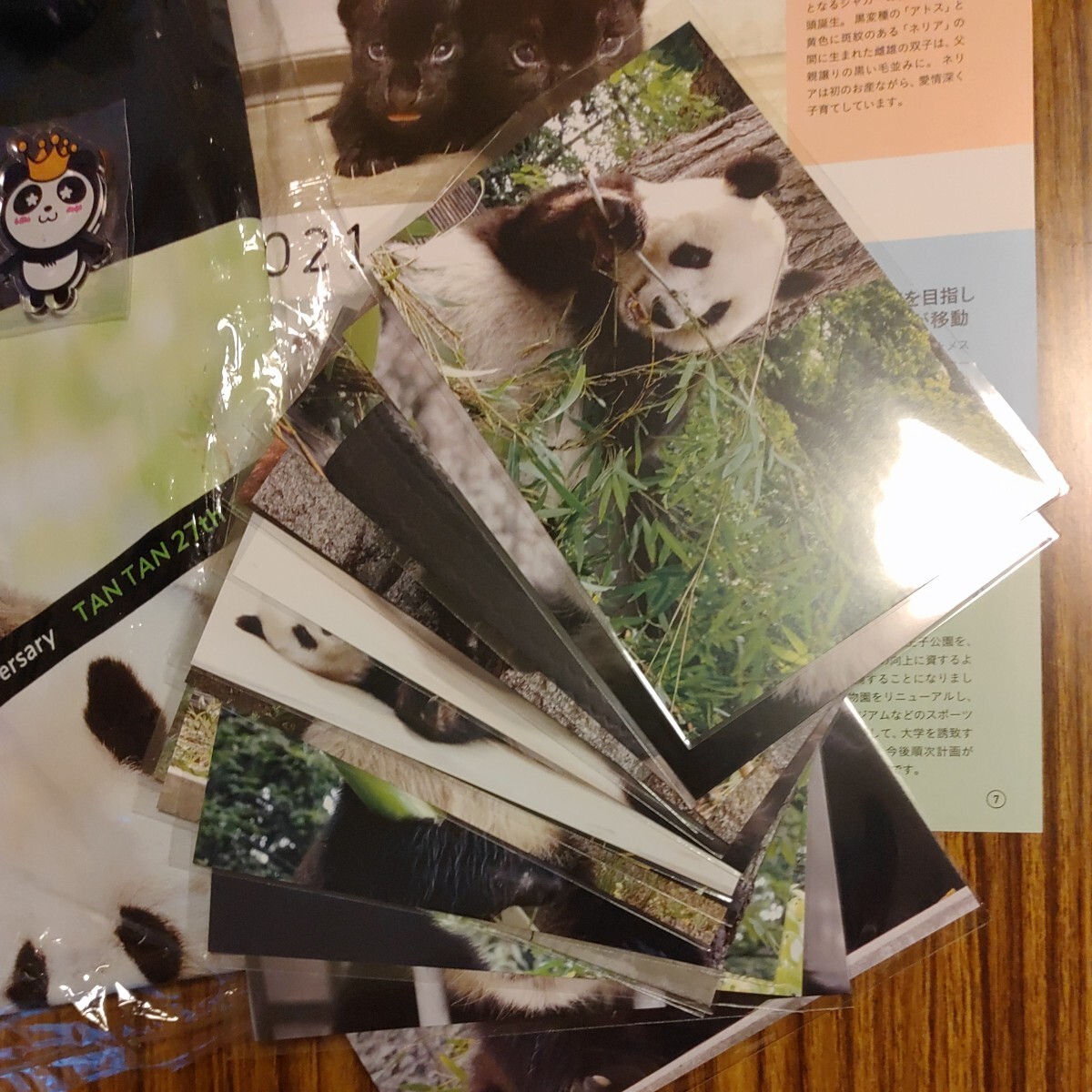 タンタン 旦旦 王子動物園 27th 誕生日Tシャツ ポストカードセット マグネット パンダ Panda ジャイアントパンダの画像4
