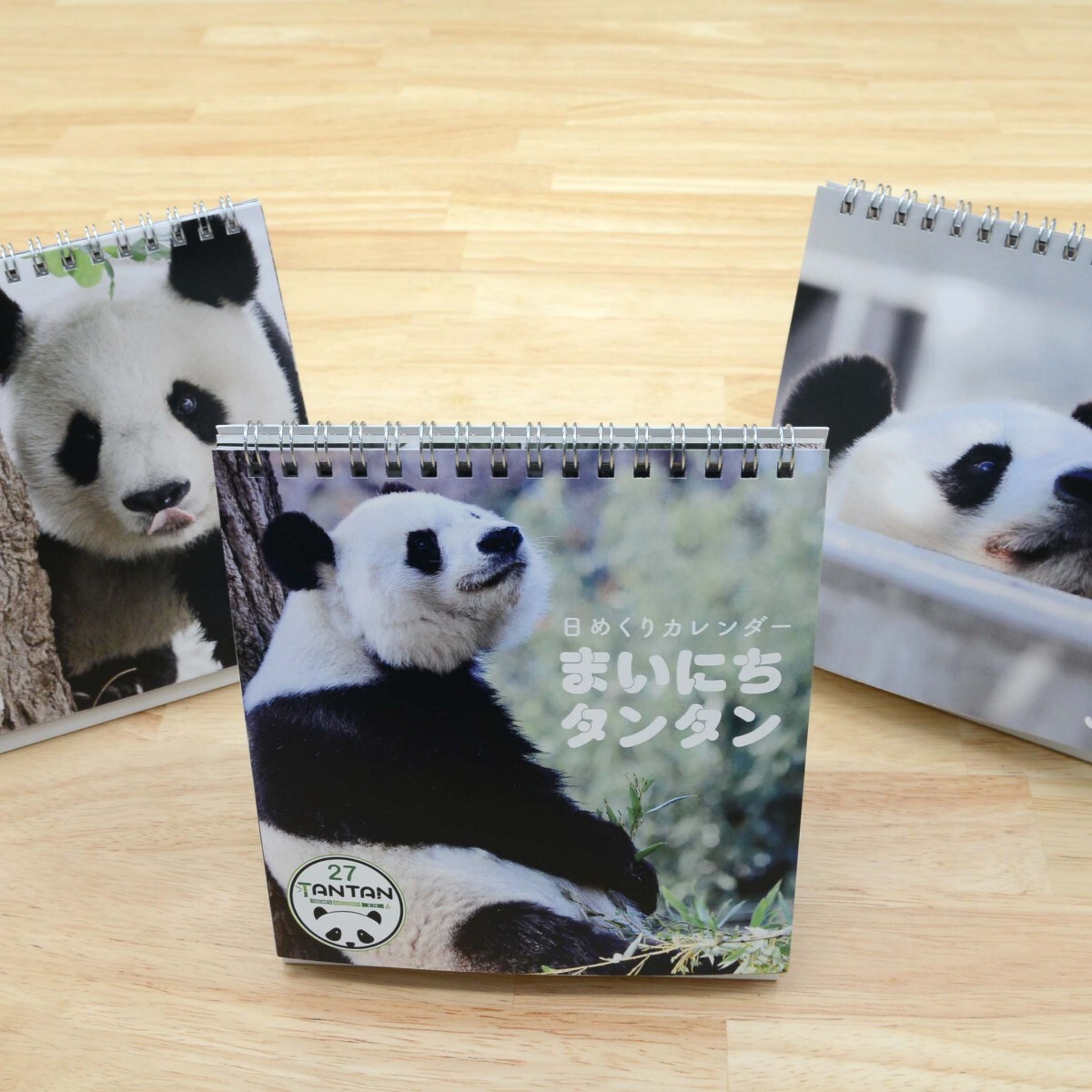 タンタン　まいにちタンタン　王子動物園　日めくりカレンダー　パンダ　Panda　ジャイアントパンダ シャンシャン シャオシャオ レイレイ　_画像2
