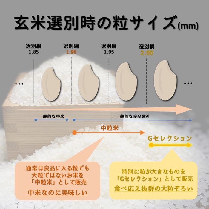 山形県庄内産　雪若丸　玄米5kg　Ｇセレクション　特別栽培米