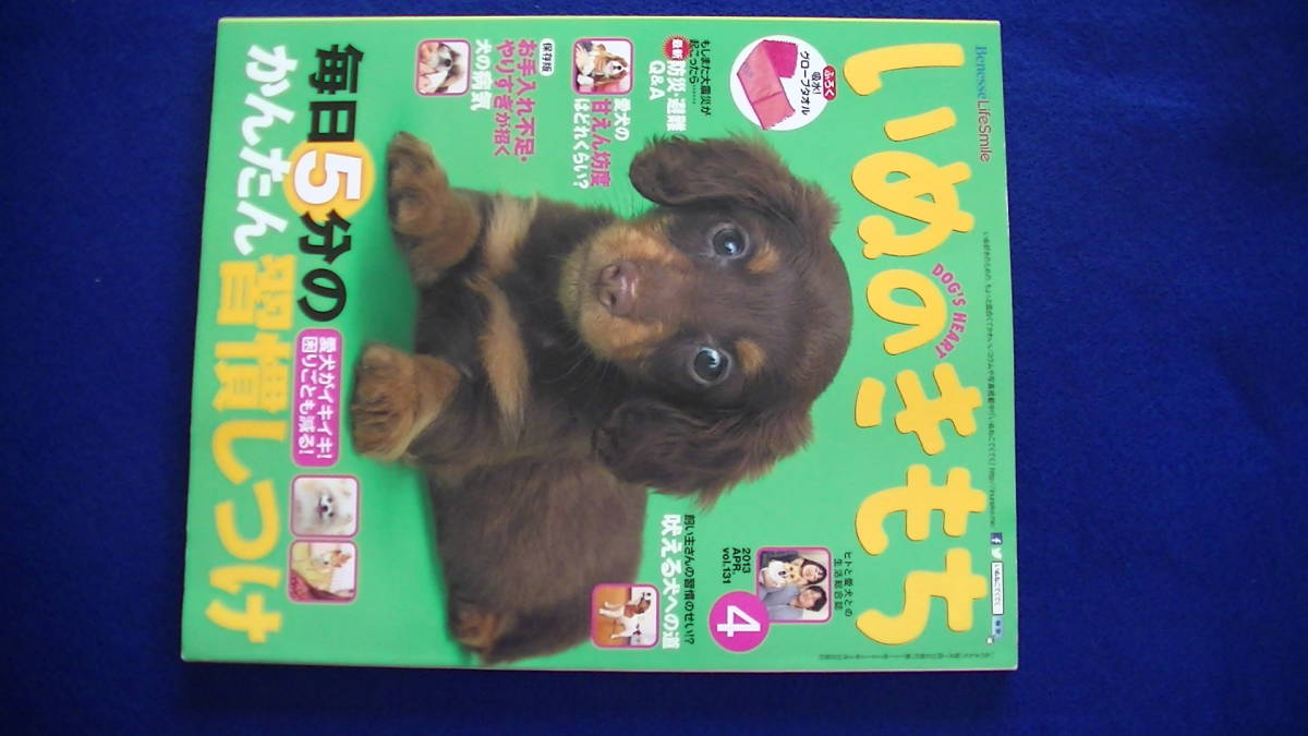 i.. . mochi 2013 year 4 month number * pet upbringing magazine [ conditions attaching free shipping ] 201957