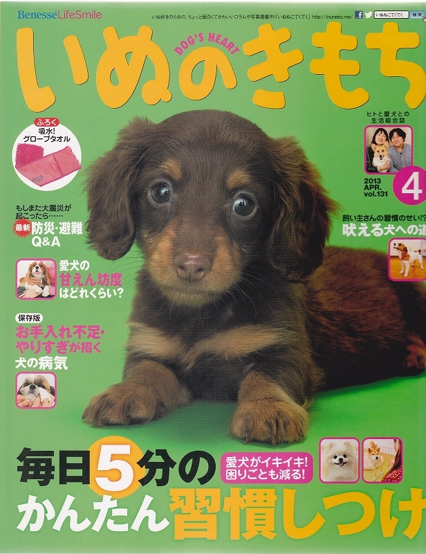 i.. . mochi 2013 year 4 month number * pet upbringing magazine [ conditions attaching free shipping ] 201957