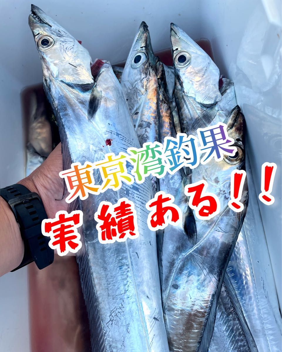 ご要望に応えて復活！！東京湾&駿河湾タチ最強！爆釣高比重TGベイト風150g 2本