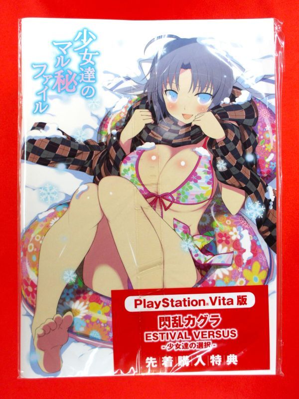 PSVita 閃乱カグラ ESTIVAL VERSUS 少女達の選択 にゅうにゅうDXパック PREMIUM 先着購入特典付 限定版 フィギュア 雅緋 紫 忌夢 両備 両奈