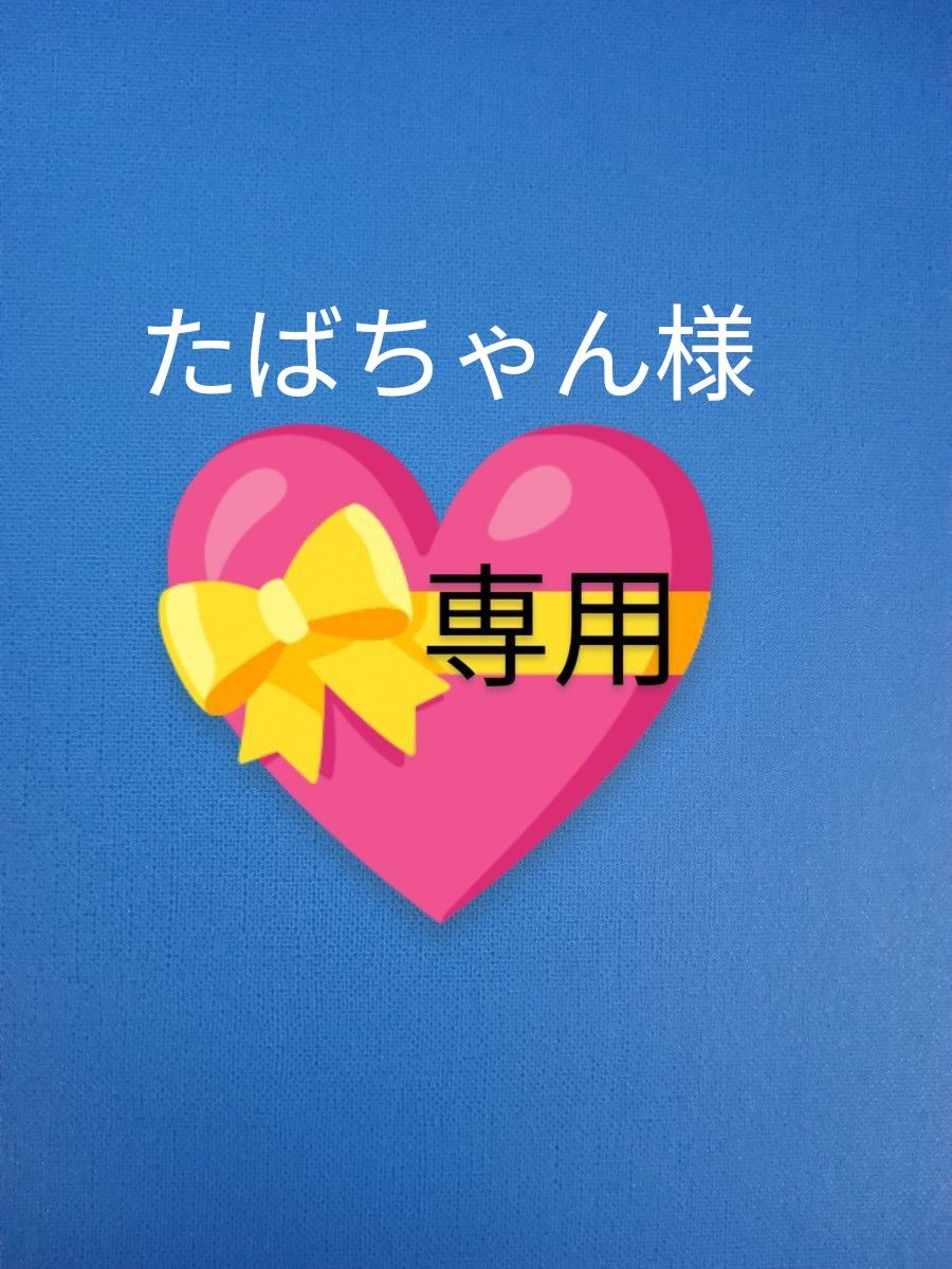 【専用】いかせんべい　１０袋(１箱分)青森県弘前市オーケー製菓