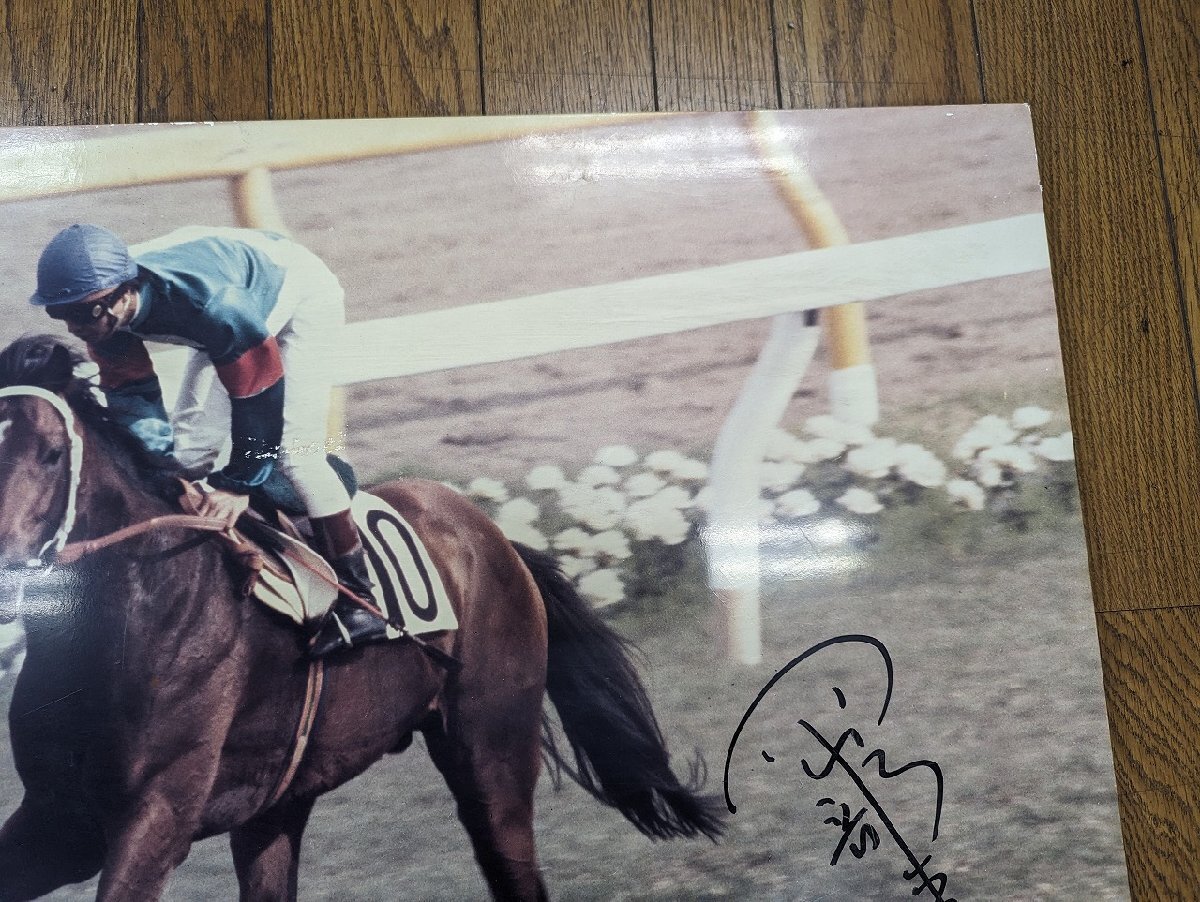 *0M-375/ horse racing simboliru dollar f wooden panel approximately 90×60cm Okabe . male autograph go in 1984 year Japan Dubey /1 jpy ~