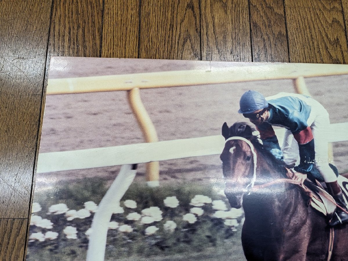 *0M-375/ horse racing simboliru dollar f wooden panel approximately 90×60cm Okabe . male autograph go in 1984 year Japan Dubey /1 jpy ~