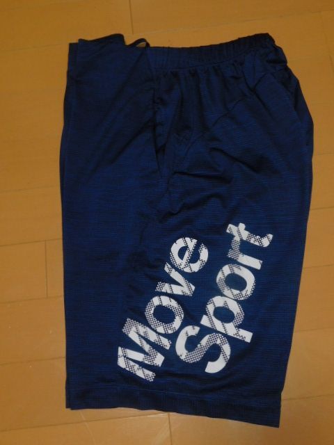  Move спорт / Descente *USED тонкий dry шорты *XO размер (W87~93)