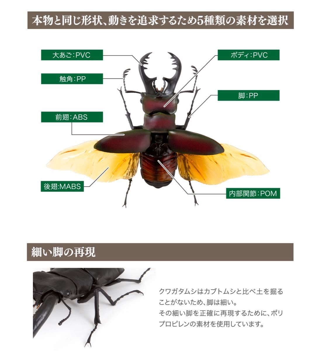 ディディエールシカクワガタ　いきもの大図鑑くわがた02 バンダイ　生き物　昆虫　フィギュア　ガチャ