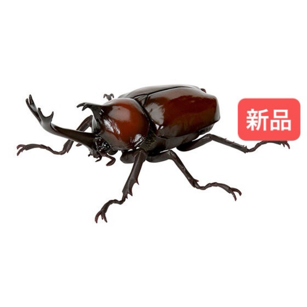 【新品】　ヤマトカブトムシ（赤褐色）　いきもの大図鑑かぶとむし05 バンダイ　生き物　昆虫　フィギュア　ガチャ