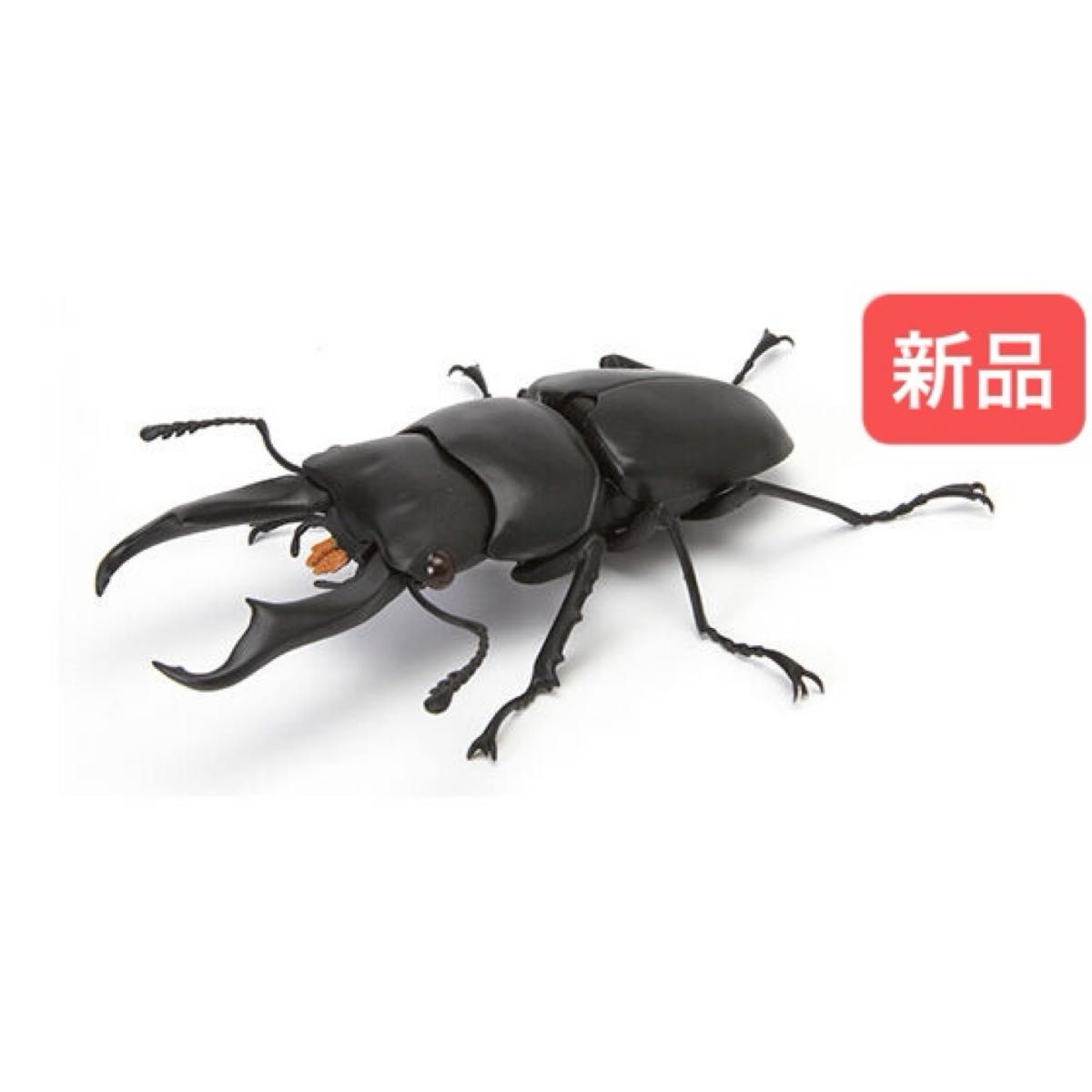 【新品】　コクワガタ　いきもの大図鑑くわがた04　バンダイ　生き物　昆虫　フィギュア　ガチャ