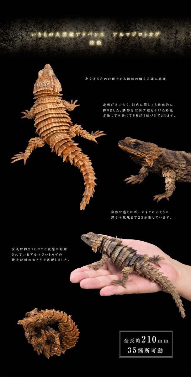 【新品】　アルマジロトカゲ（ダークブラウン）　いきもの大図鑑アドバンス　バンダイ　生き物　昆虫　フィギュア　ガチャ