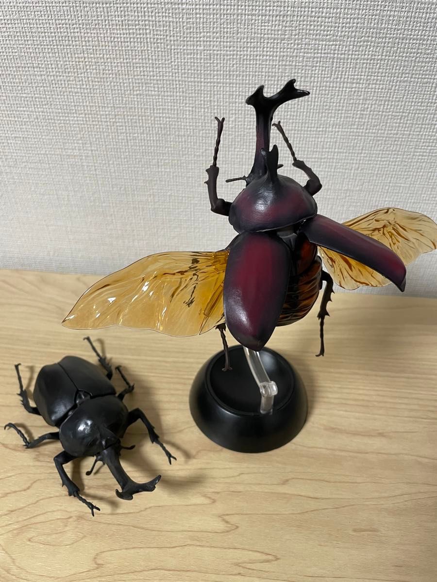 ヤマトカブトムシ(黒 赤茶色) いきもの大図鑑かぶとむし01 ヤマトカブトムシ(黒 赤茶色) いきもの大図鑑かぶとむし01