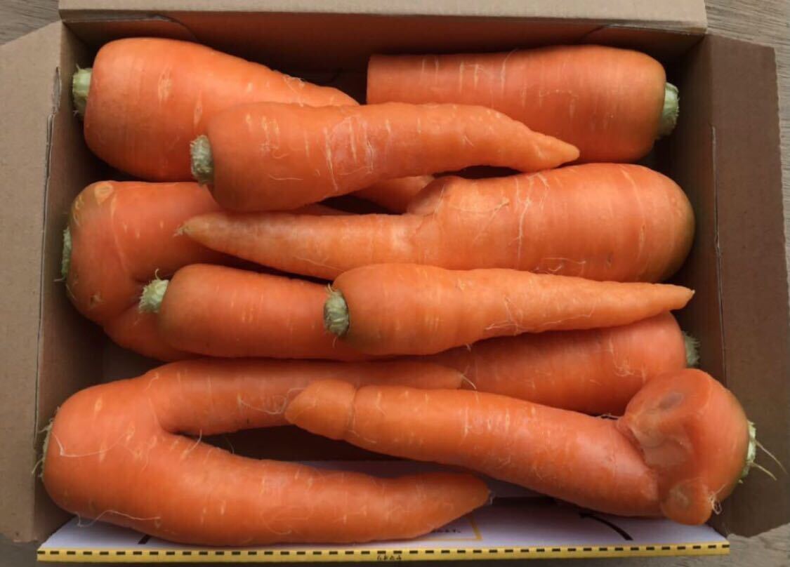  весна морковь 1.5kg коробка включено Tokushima производство есть перевод нестандартный весна морковь 