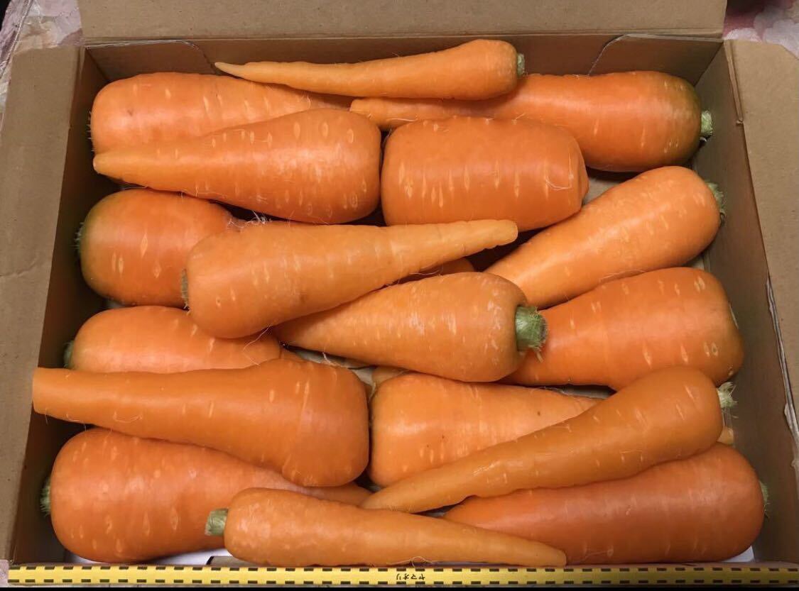  весна морковь 1.5kg коробка включено Tokushima производство есть перевод нестандартный 
