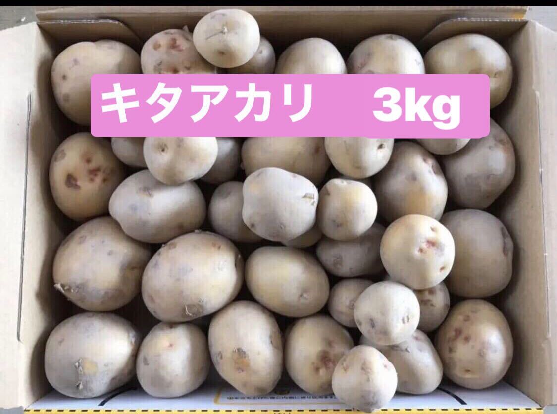 新じゃがいもキタアカリ3kg 50g前後　徳島県産　栽培中農薬不使用です_画像1