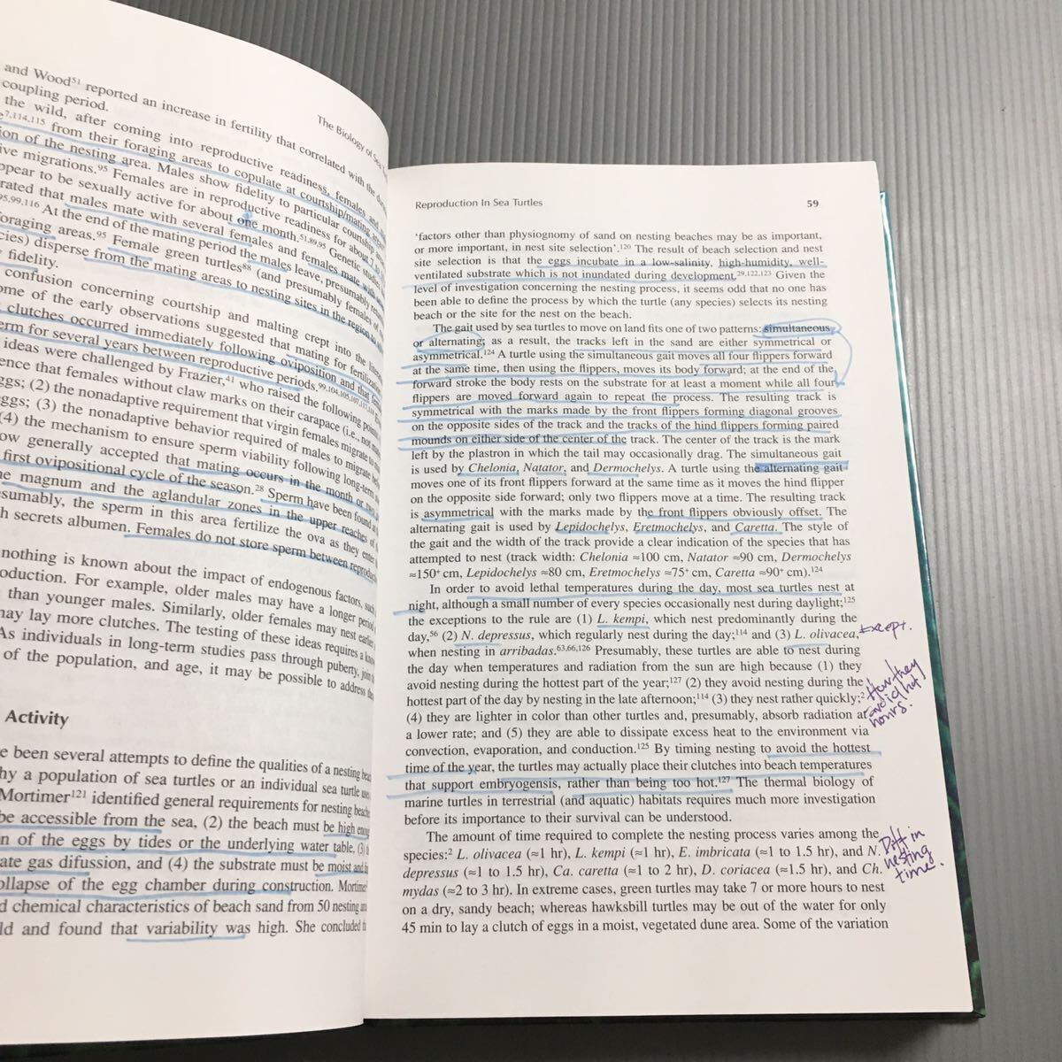 ☆送料無料】 洋書 The BIOLOGY of SEA TURTLES / 海亀の生物学 / Peter L. Lutz、John A. Musick / CRC Press - 生物学 ☆送料無料】 洋書 The BIOLOGY of SEA TURTLES / 海亀の生物学 / Peter L. Lutz、John A. Musick / CRC Press - 生物学
