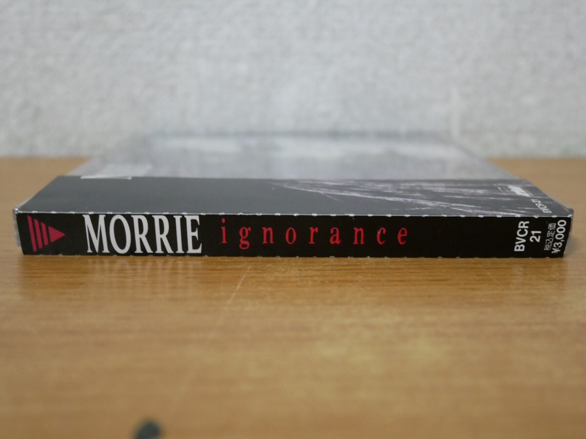 CDk-8012＜帯付＞MORRIE / ignoranceの画像4