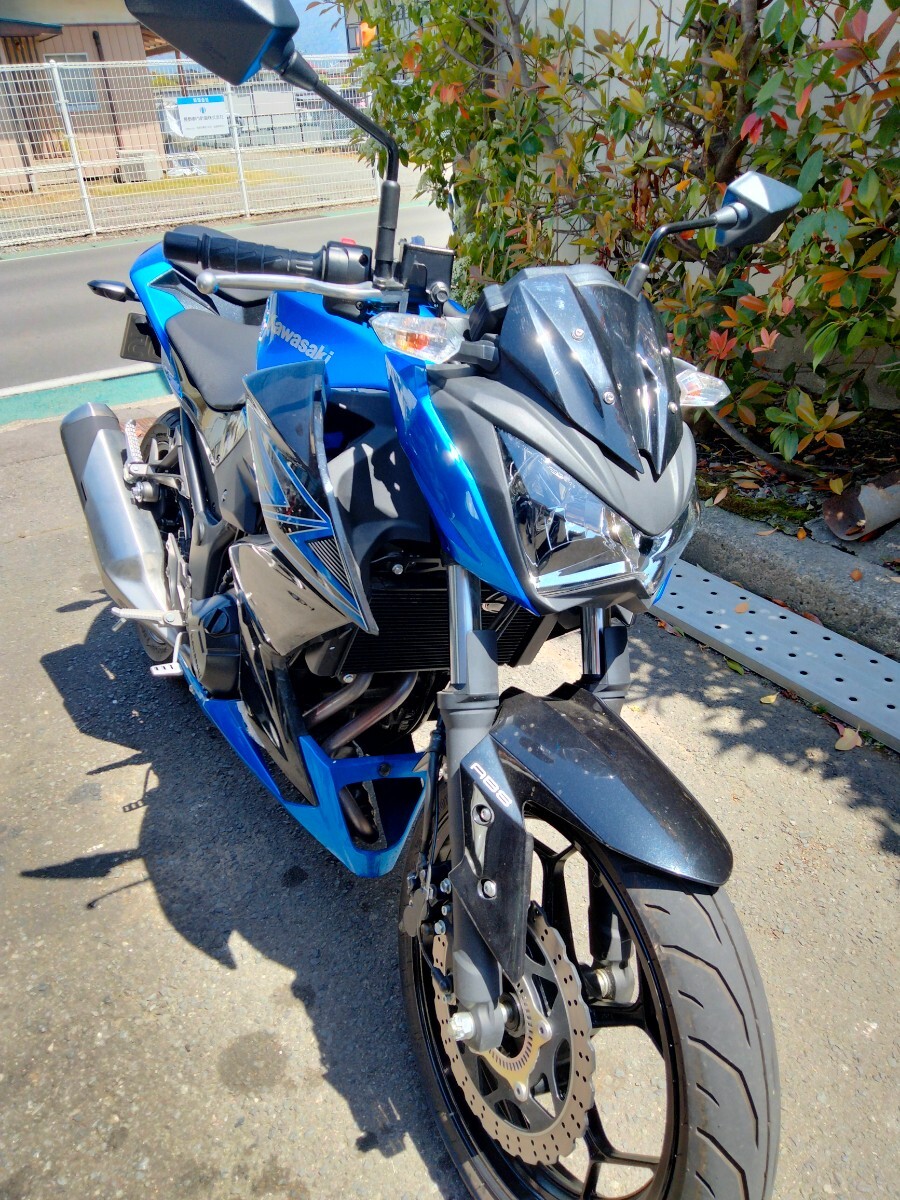 ★カワサキ、Z250、ABS、走行360Km、長野★_画像8